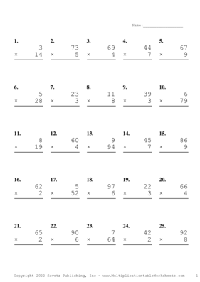 Two by One Digit Problem Set V Multiplication Worksheet